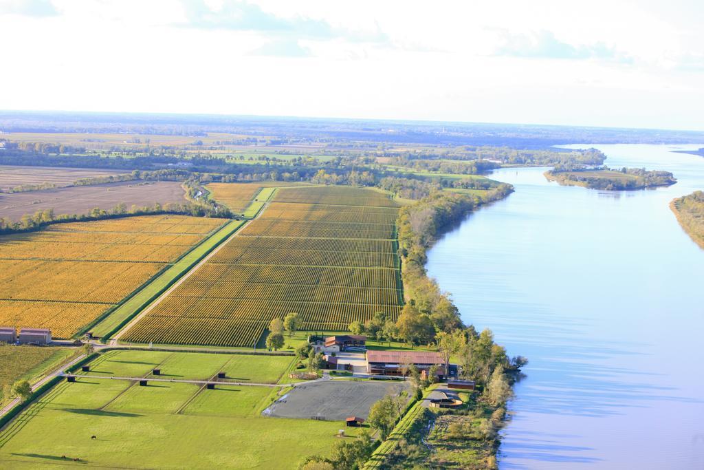 ホテルLes Cinq Sens Du Chateau Mayne Lalande Castelnau-de-Médoc エクステリア 写真
