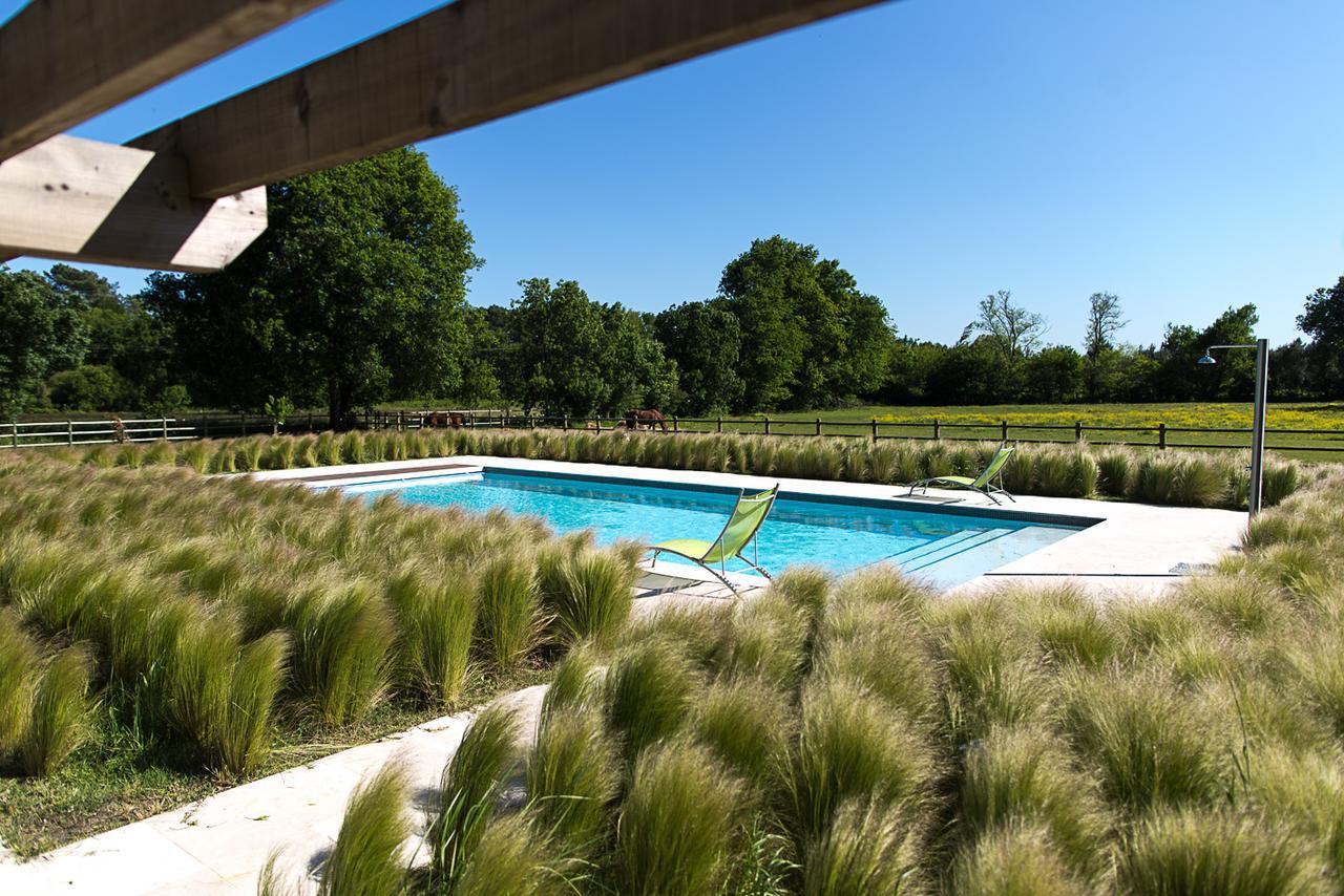 ホテルLes Cinq Sens Du Chateau Mayne Lalande Castelnau-de-Médoc エクステリア 写真